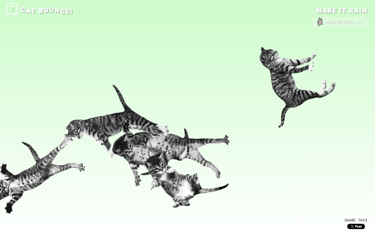 Cat Bounce screenshot 1