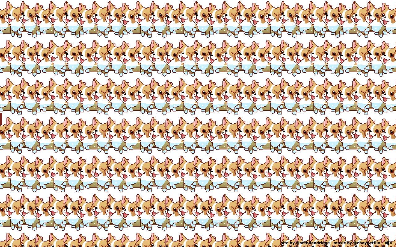 Corgi Orgy screenshot 1